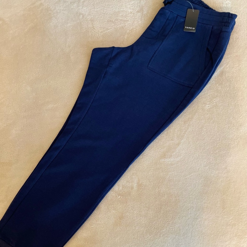Torrid Ultra Soft Fleece Drawstring Jogger Pants - Size 1X - Picture 5 of 12